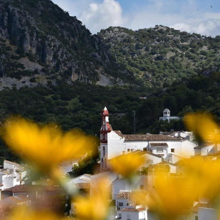 Photo of Others in Ubrique