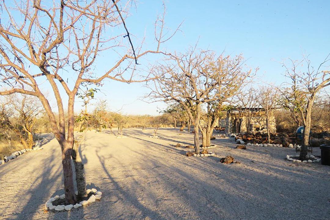 Photo of Outdoor in Okaukuejo