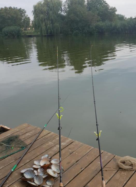 Photo of Outdoor in Bekesszentandras