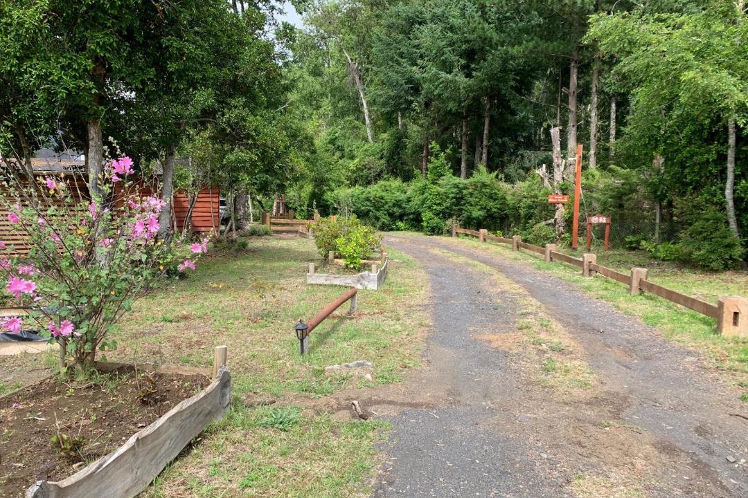 Photo of Outdoor in Panguipulli