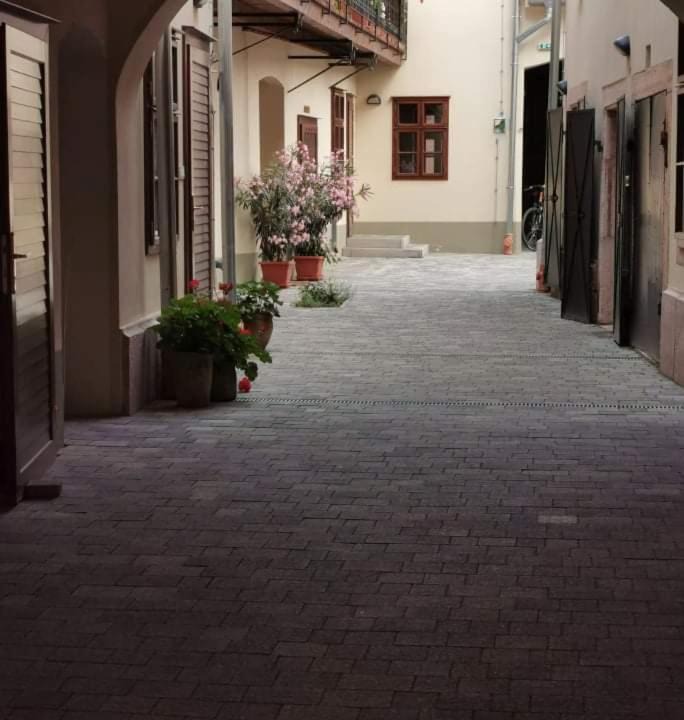 Photo of Others in Gyor