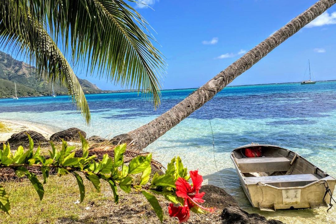 Photo of Outdoor in Pihaena
