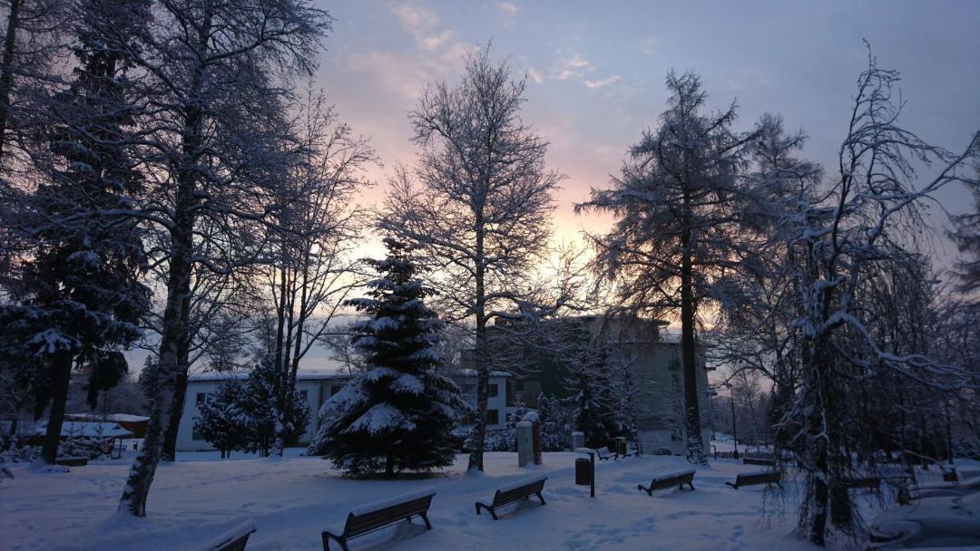 Photo of Others in Stary Smokovec
