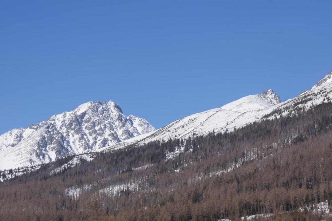 Photo of Others in Stary Smokovec