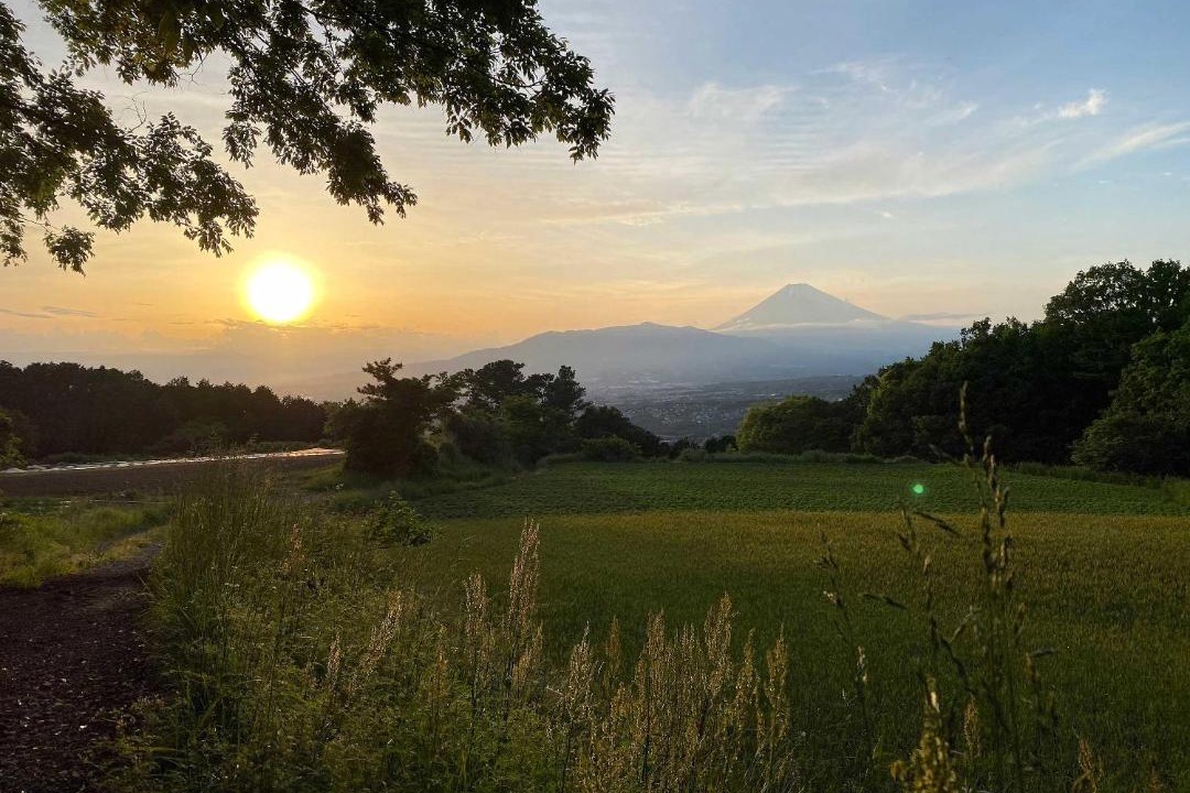 Photo of Others in Oyama-cho