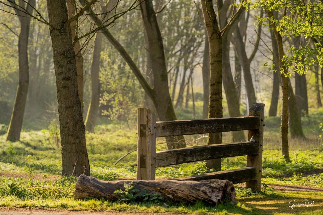 Photo of Others in Municipality of Pijnacker-Nootdorp