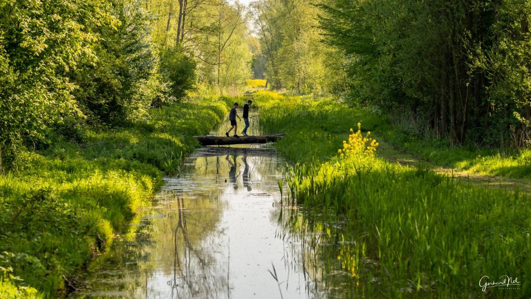 Photo of Outdoor in Municipality of Pijnacker-Nootdorp