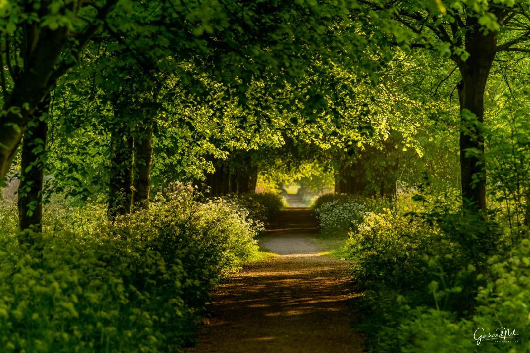 Photo of Outdoor in Municipality of Pijnacker-Nootdorp