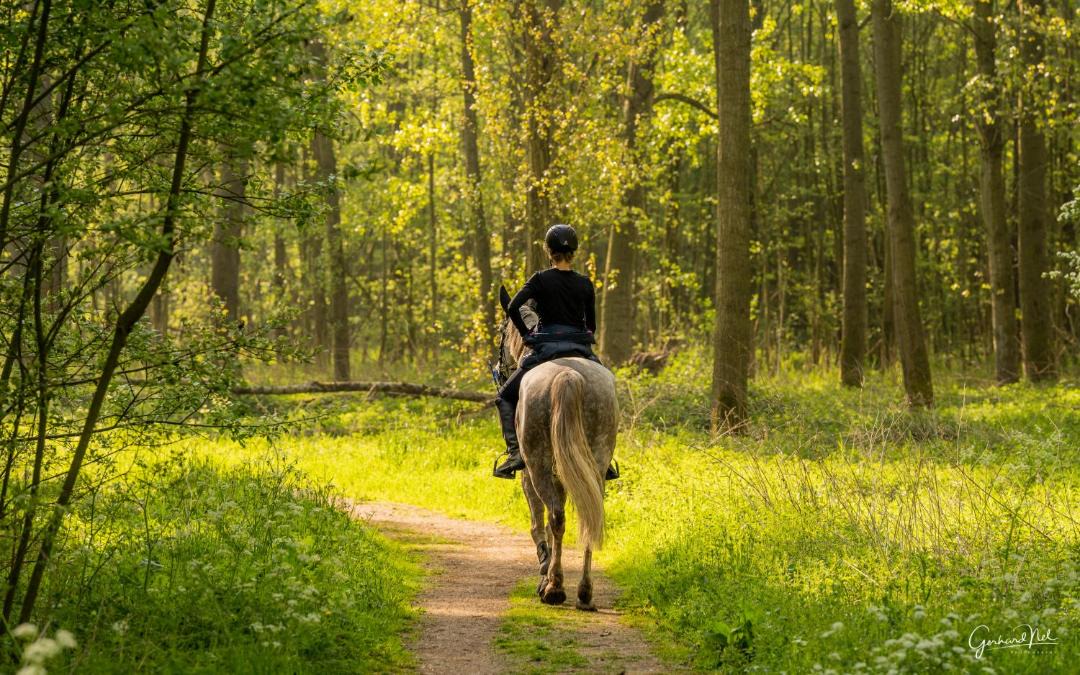 Photo of Human In Picture in Municipality of Pijnacker-Nootdorp