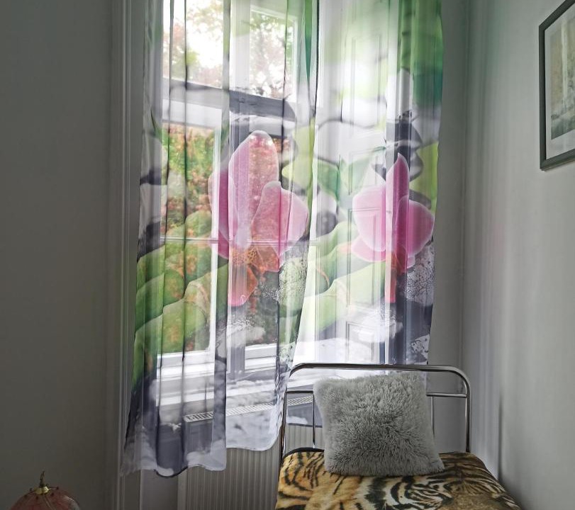 Photo of Others in Sopron
