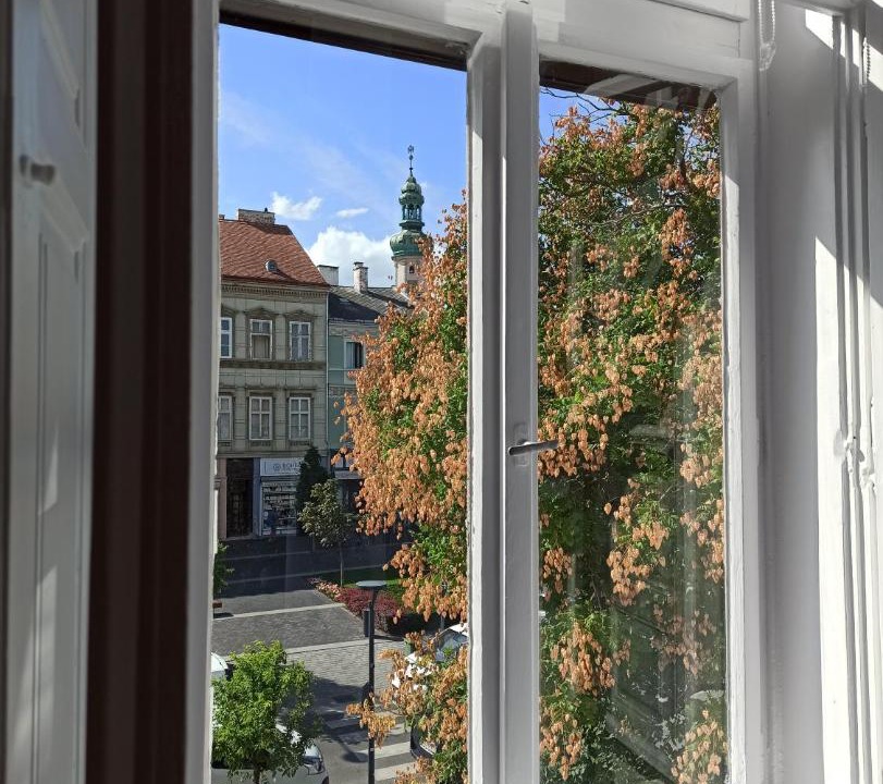 Photo of Others in Sopron
