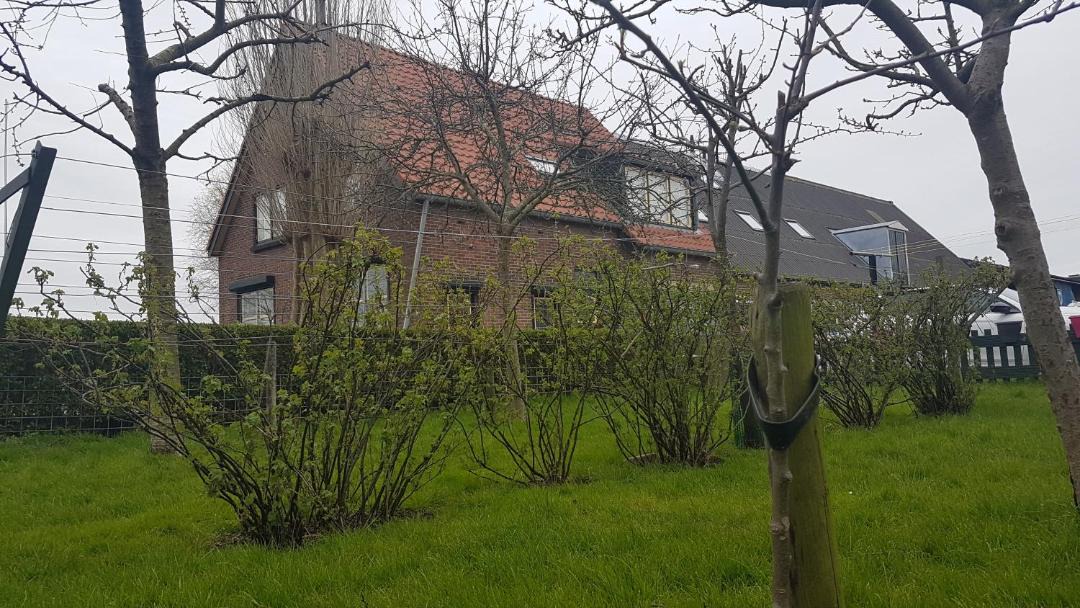 Photo of Buildings in Municipality of Pijnacker-Nootdorp