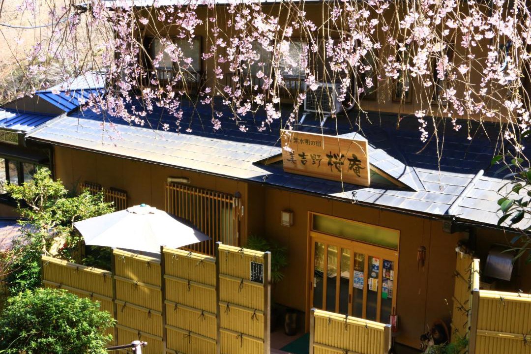 Photo of Others in Yoshino