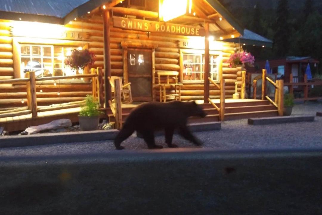 Photo of Others in Cooper Landing