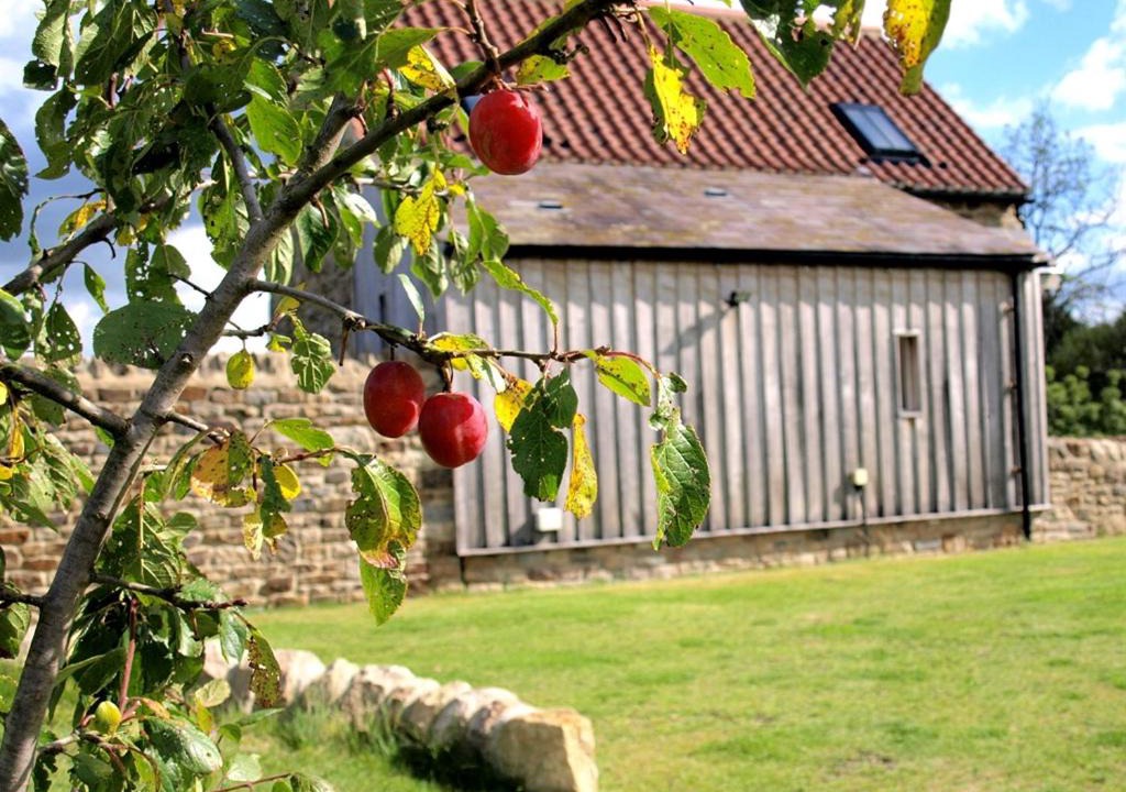 Photo of Buildings in Witton-le-Wear