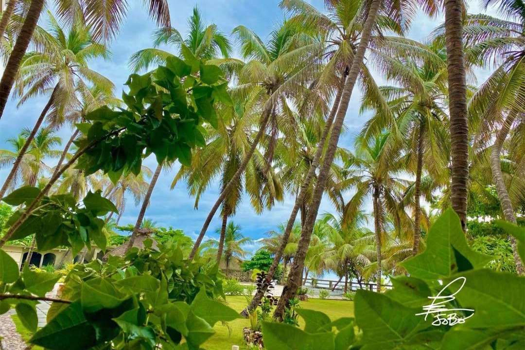 Photo of Outdoor in Jacmel