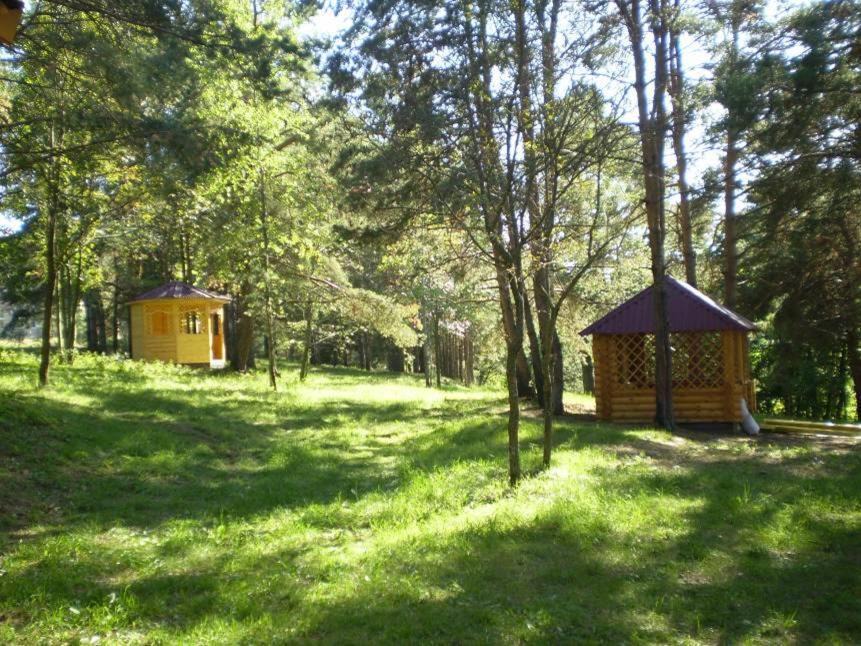 Photo of Others in Zvenigorod