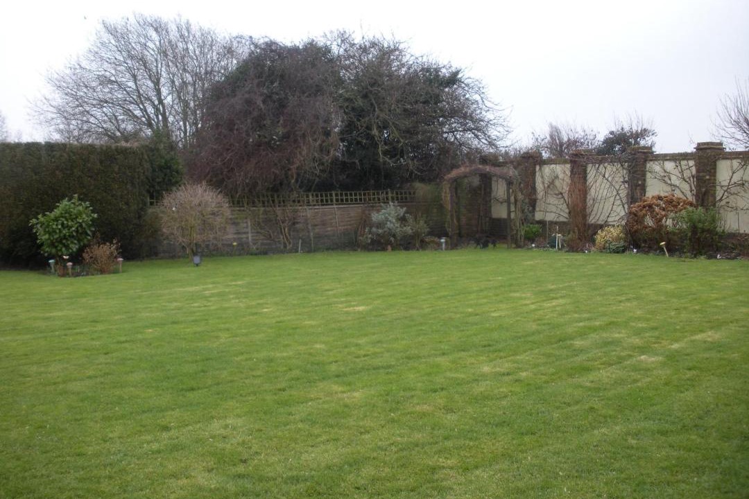 Photo of Buildings in Winchelsea