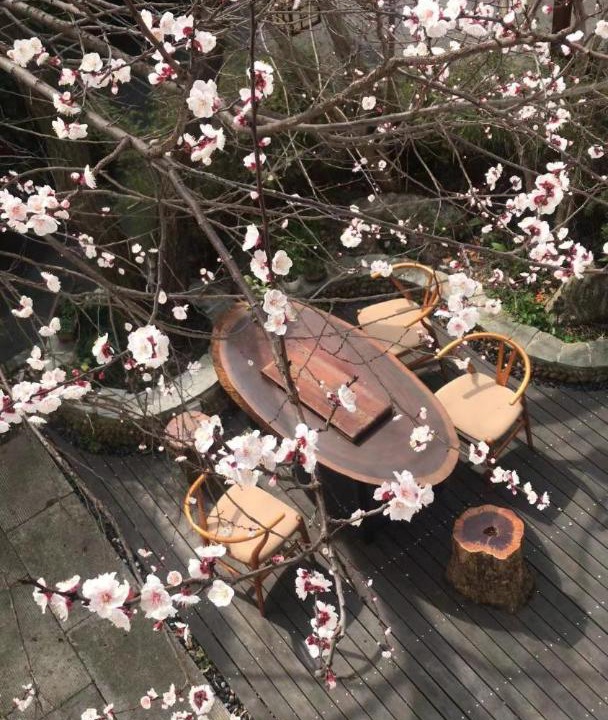 Photo of Others in Xihu