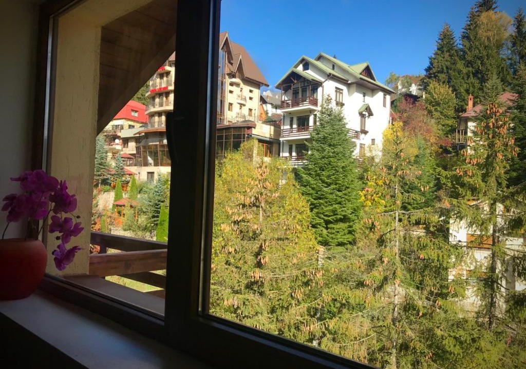 Photo of Others in Sinaia