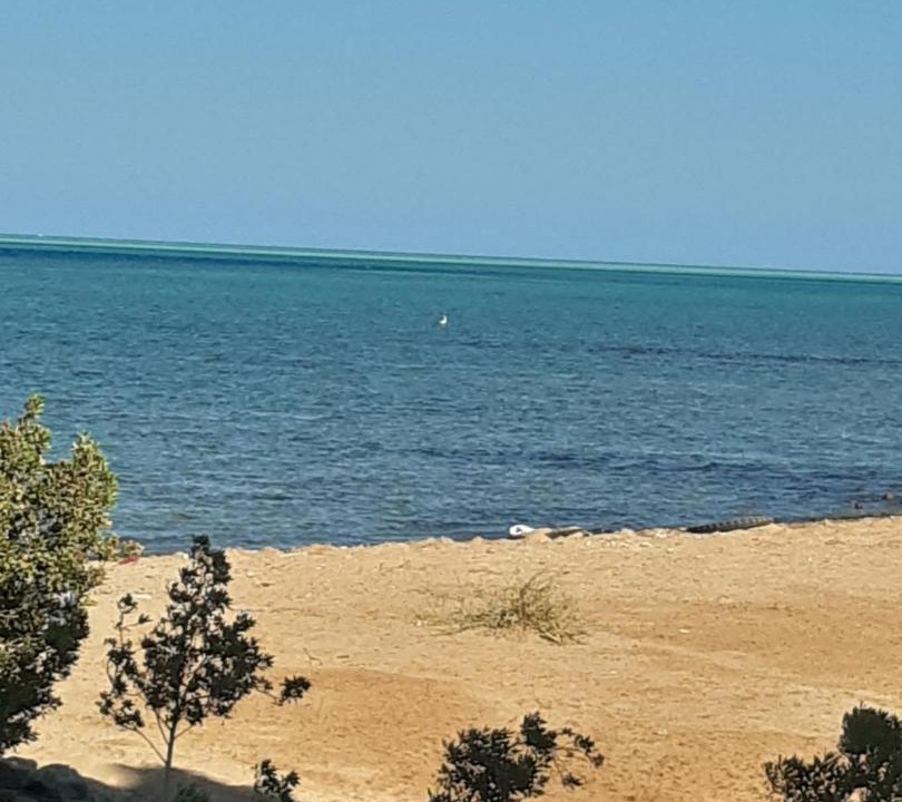 Photo of Others in Safaga