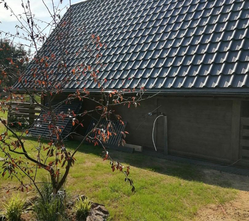 Photo of Buildings in Sasino