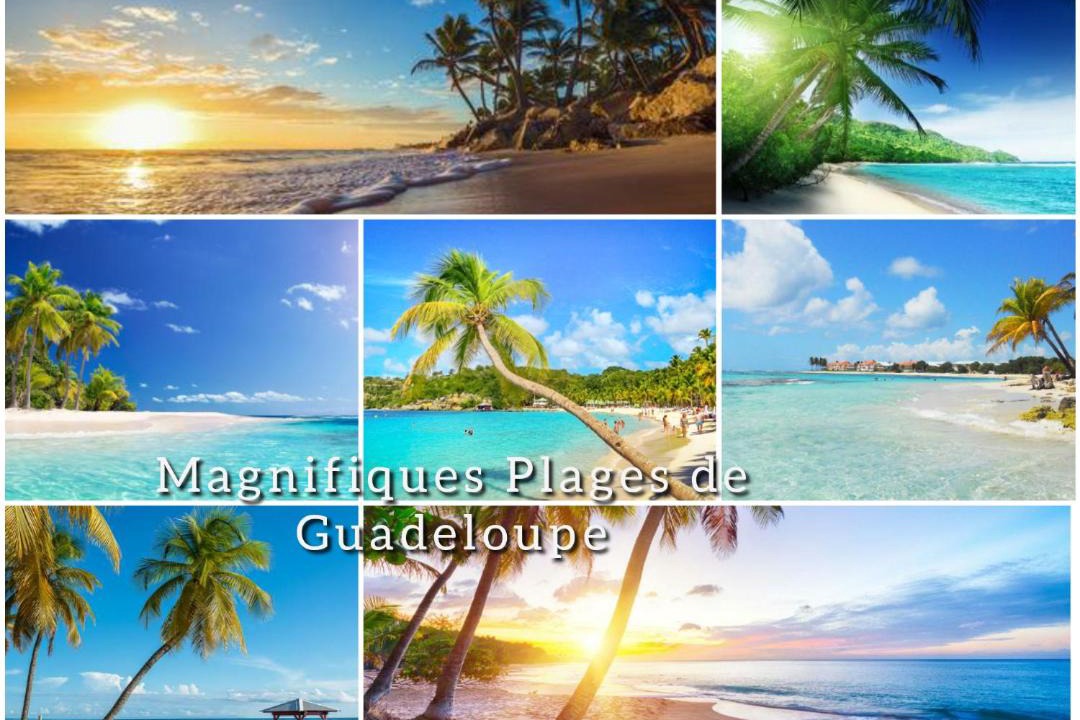 Photo of Others in Basse-Terre