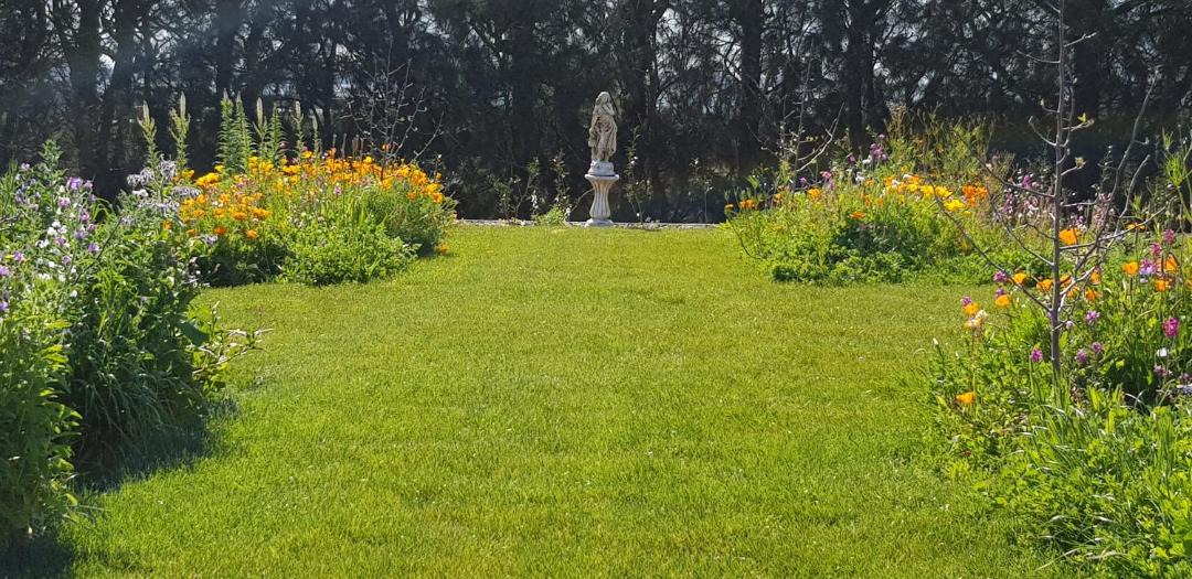 Photo of Outdoor in Aongatete