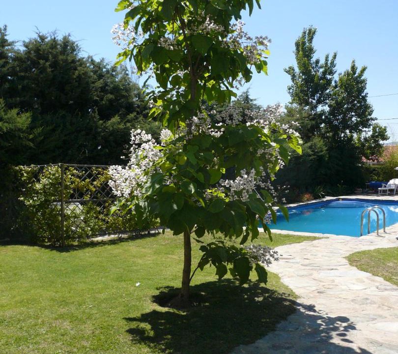 Photo of Outdoor in Mataelpino