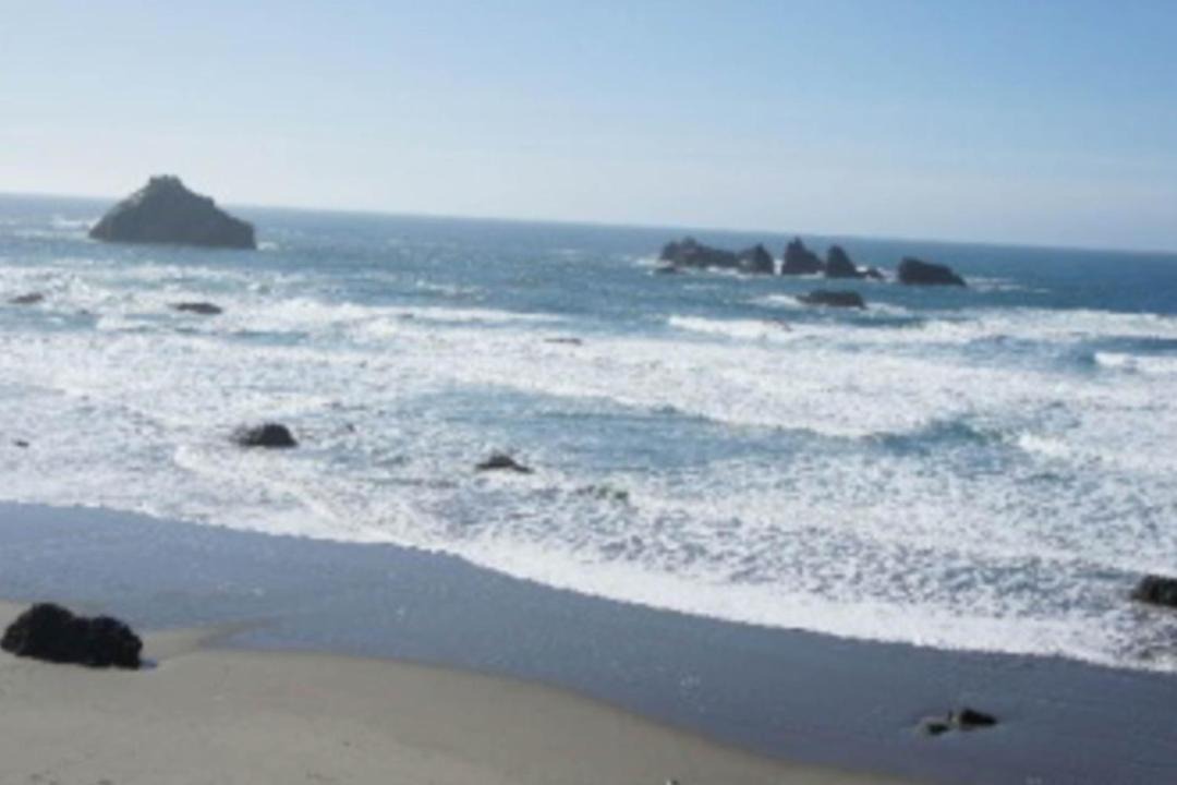 Photo of Others in Bandon