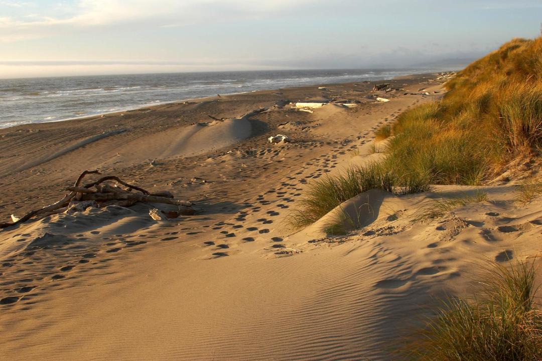 Photo of Others in Bandon