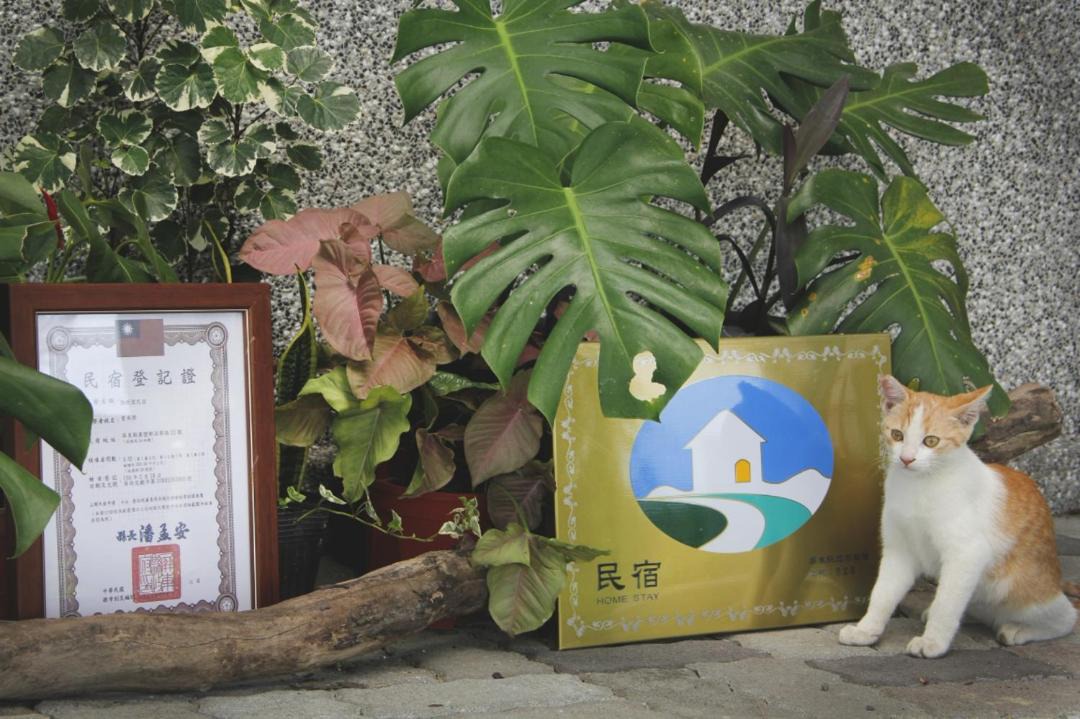 Photo of Others in Wanluan