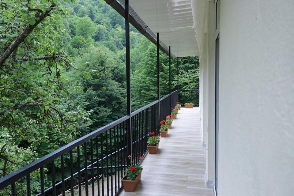 Photo of Others in Dilijan