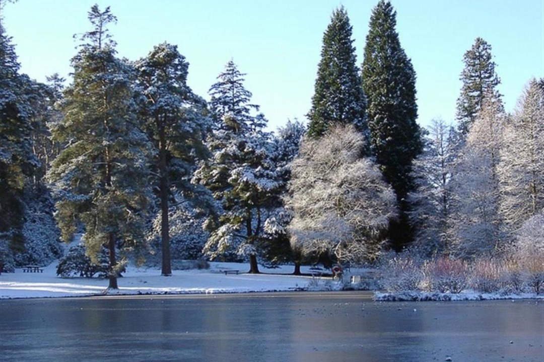 Photo of Others in Cranbrook