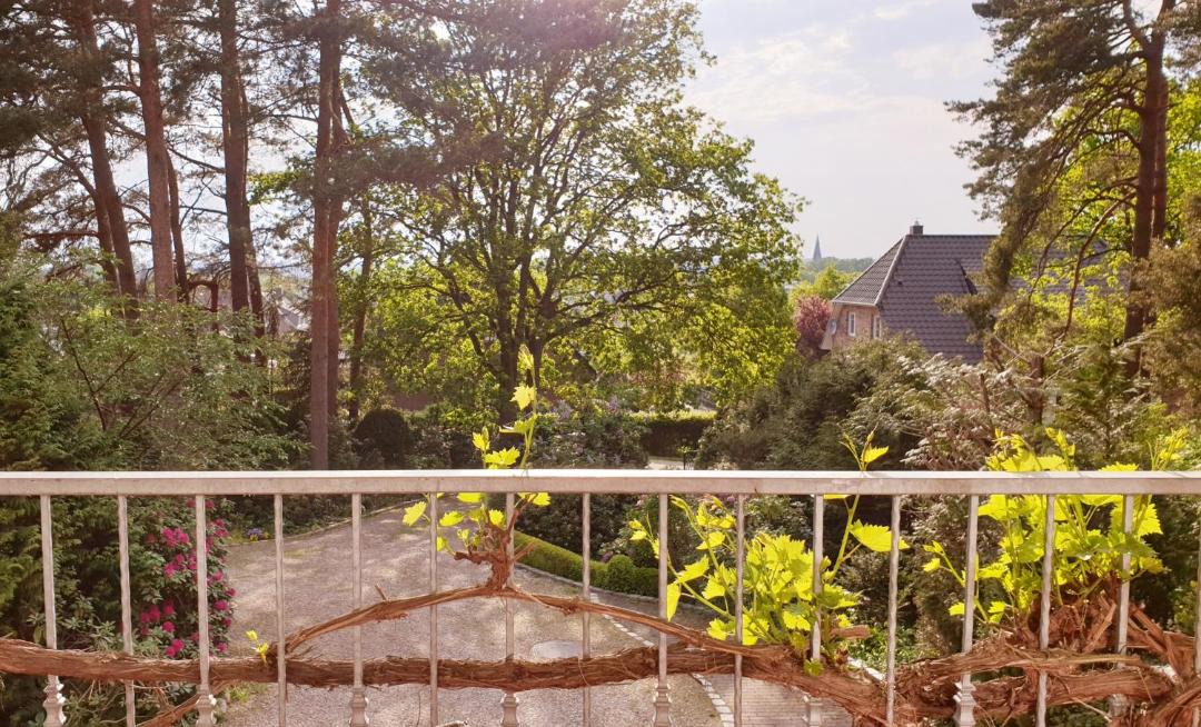 Photo of Patio Balcony in Ramelsloh