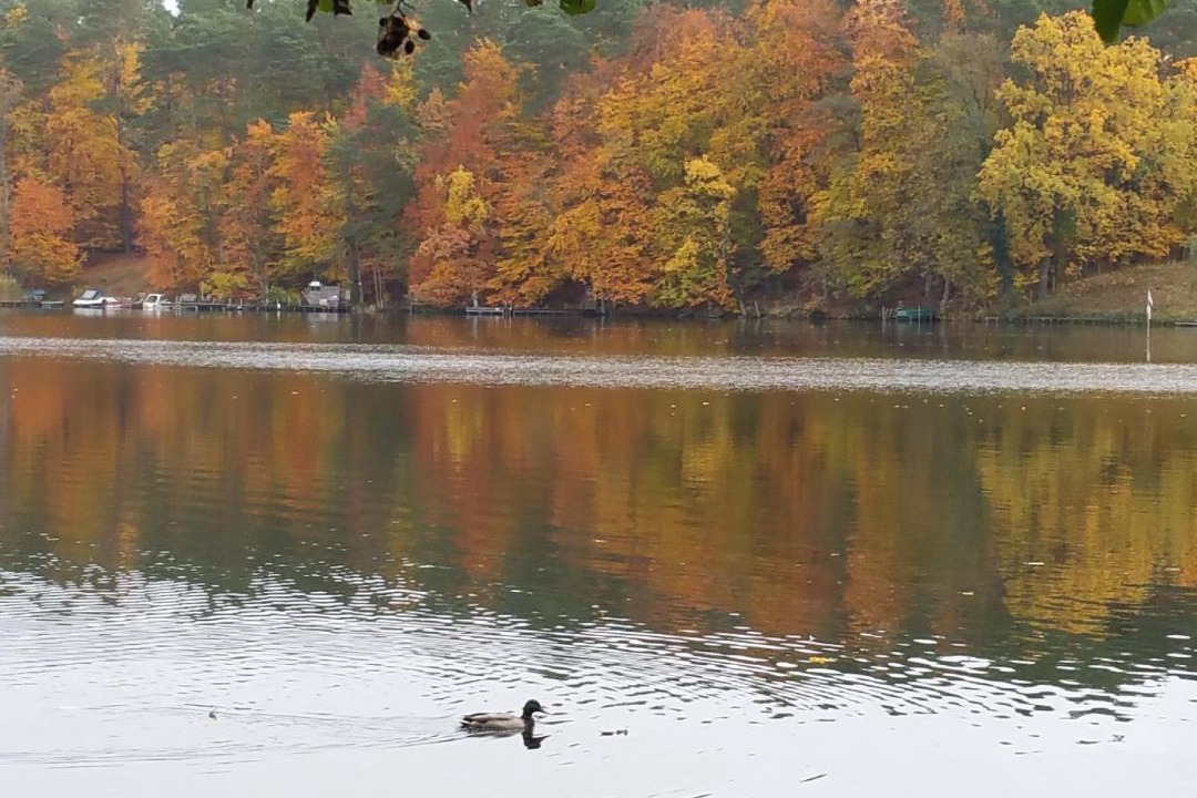 Photo of Others in Oberhavel