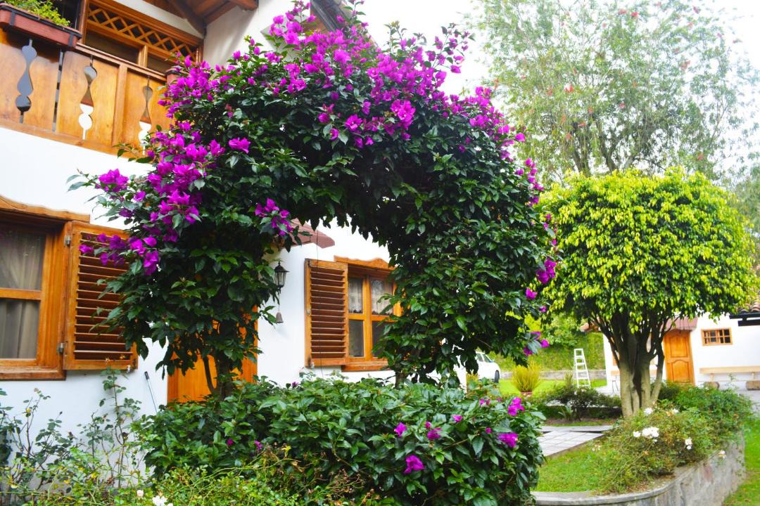 Photo of Buildings in Tababela