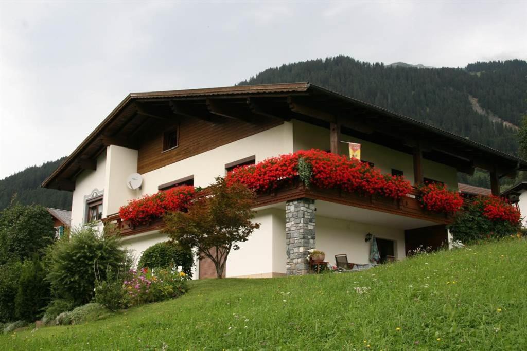 Photo of Buildings in Sankt Gallenkirch