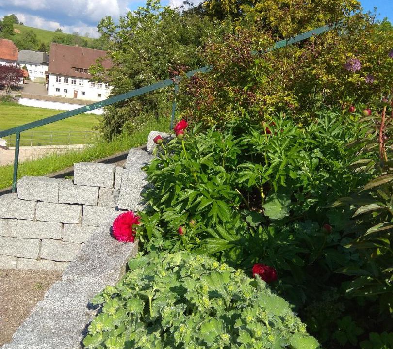 Photo of Others in Bonndorf