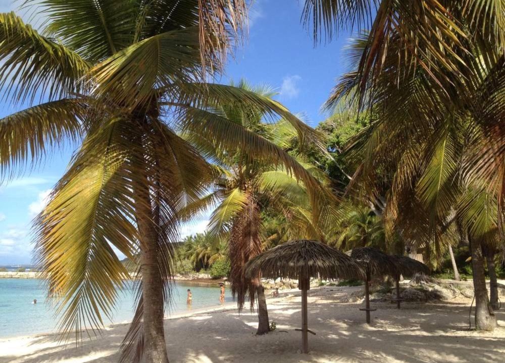 Photo of Others in Anse des Rochers