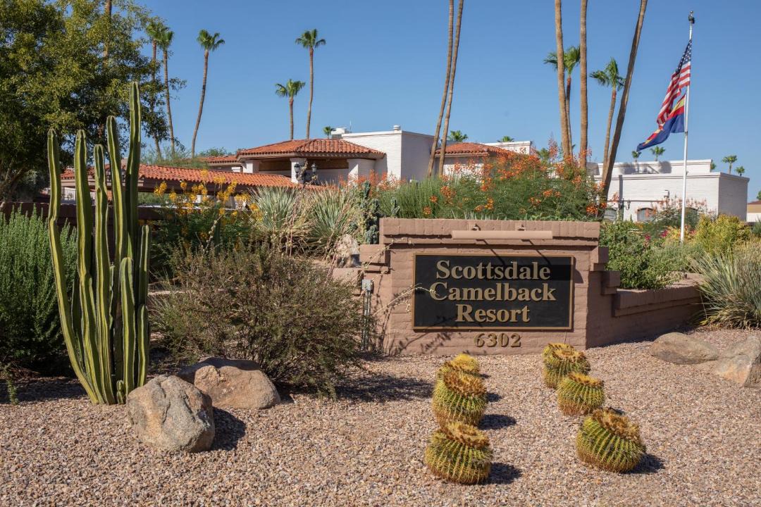 Photo of Others in Scottsdale