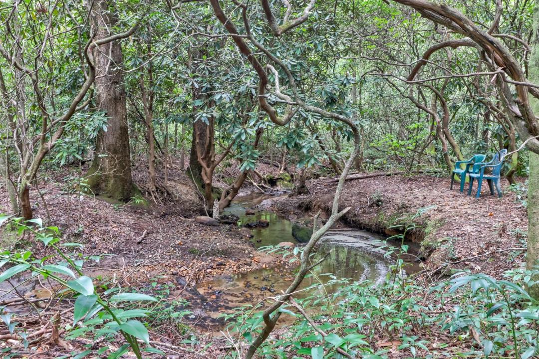 Photo of Others in Sautee Nacoochee