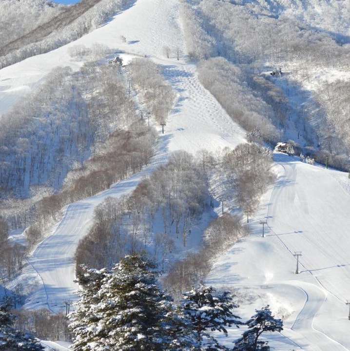 Photo of Others in Madarao Mountain Resort