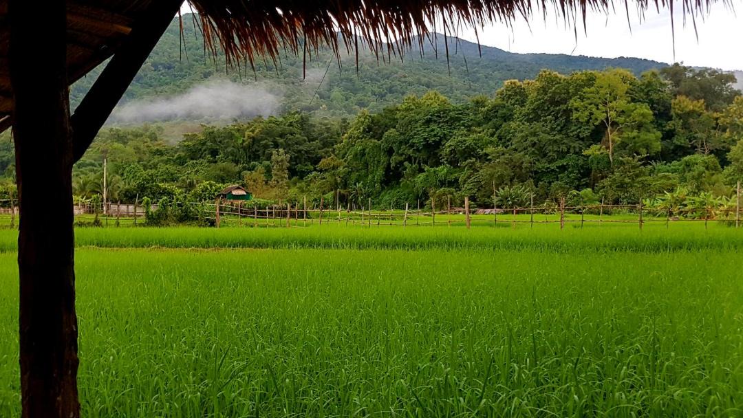 Photo of Others in Pua