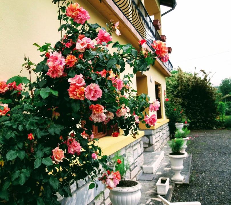 Photo of Patio Balcony in Salechan