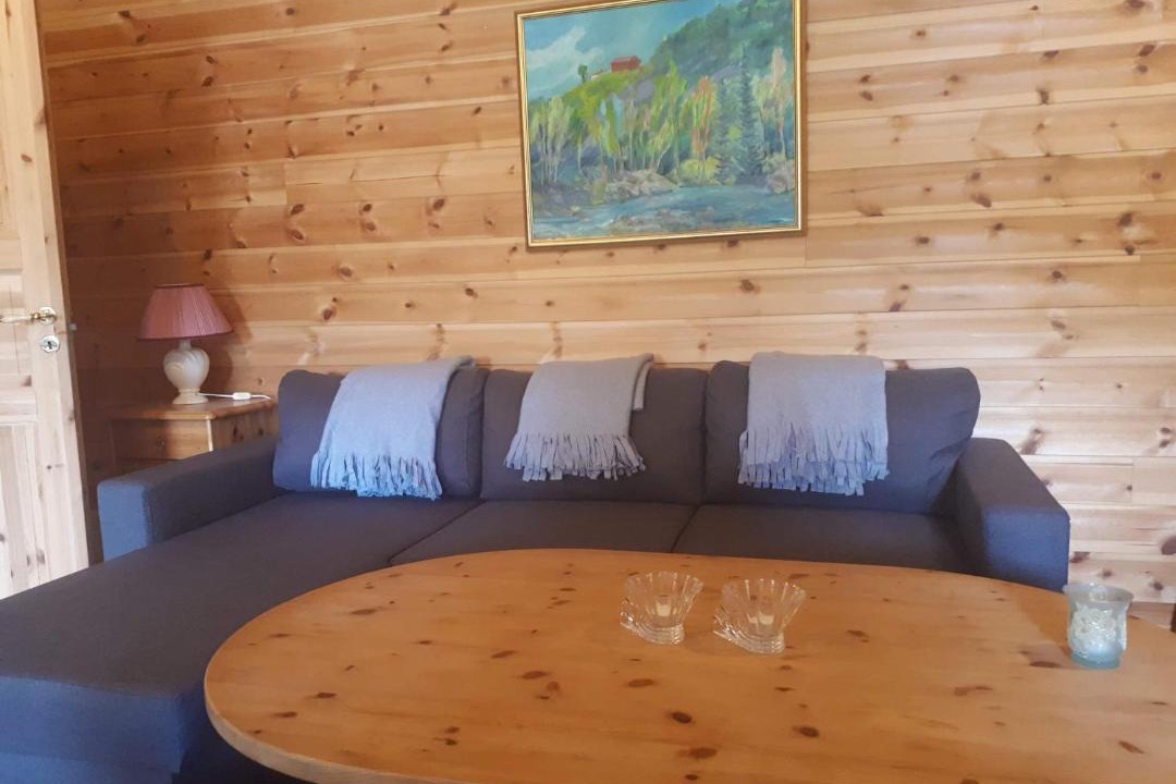 Photo of Livingroom in Lardal Municipality
