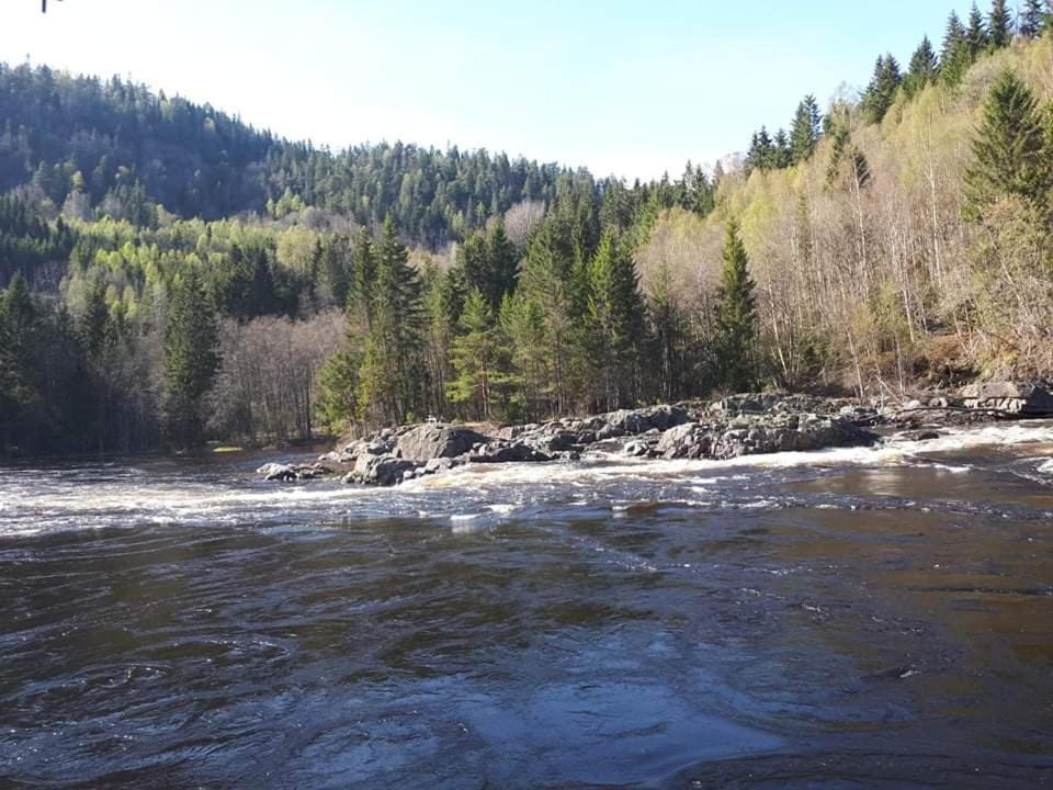 Photo of Others in Lardal Municipality