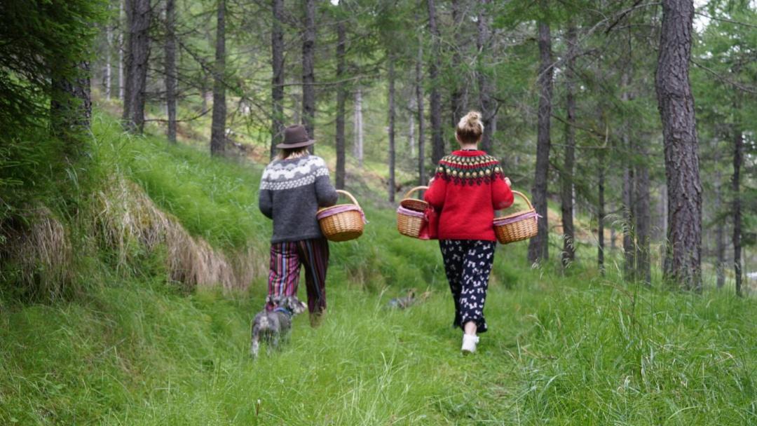 Photo of Others in Vallanes