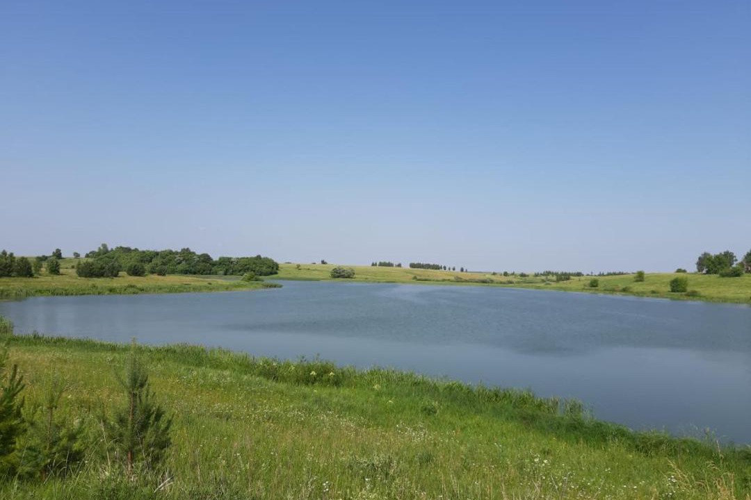 Photo of Outdoor in Zhiryatinskoe