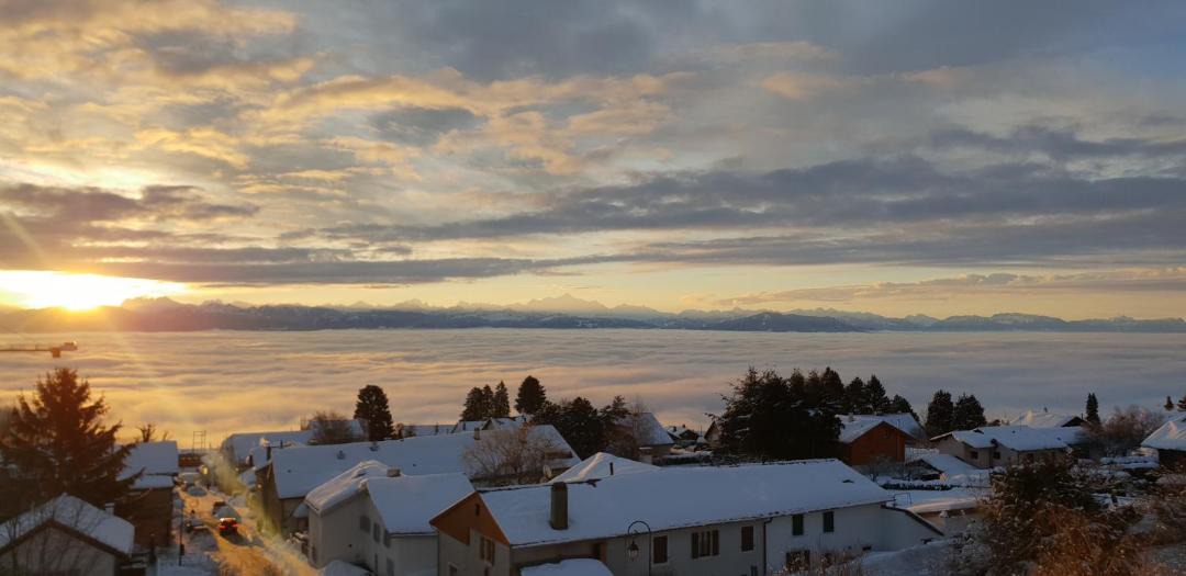 Photo of Outdoor in Arzier